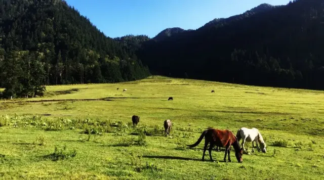 Mugu Nepal : Geography, Attractions and Lifestyle